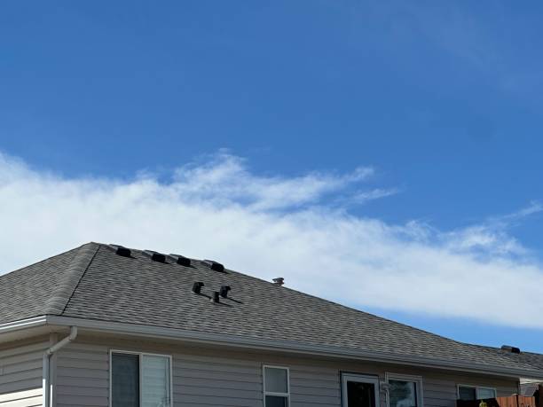 Fast & Reliable Emergency Roof Repairs in Newport East, RI